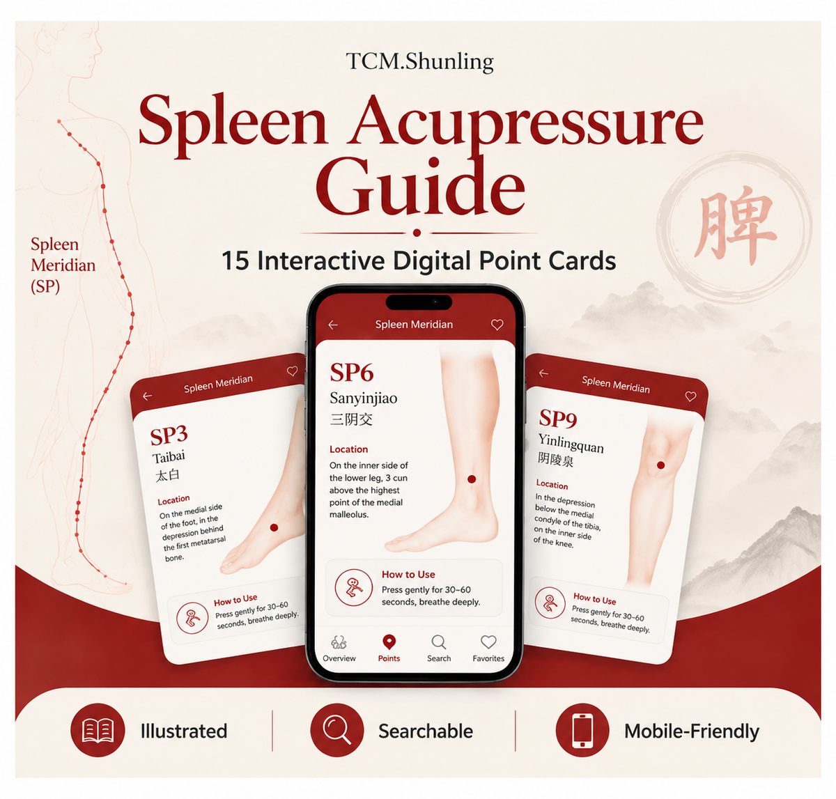 Spleen Meridian Acupressure Guide