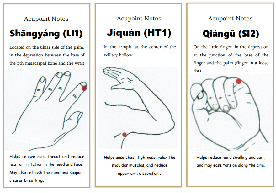 Tai Chi Pestle Needle Complete Wellness Program – 4 Tools, Guided Use Kit, Ear Patches & 2 Online Courses