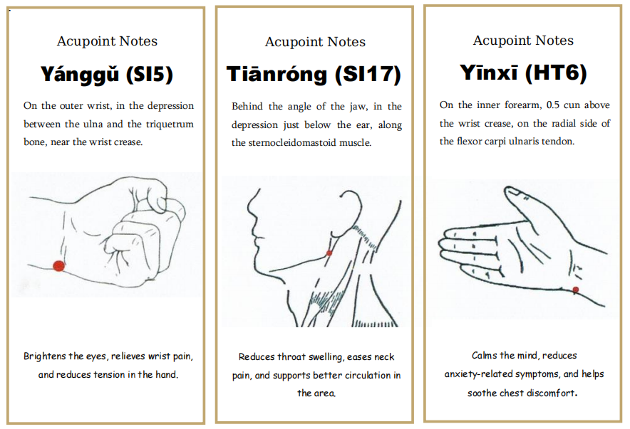 Tai Chi Pestle Needle Complete Wellness Program – 4 Tools, Guided Use Kit, Ear Patches & 2 Online Courses