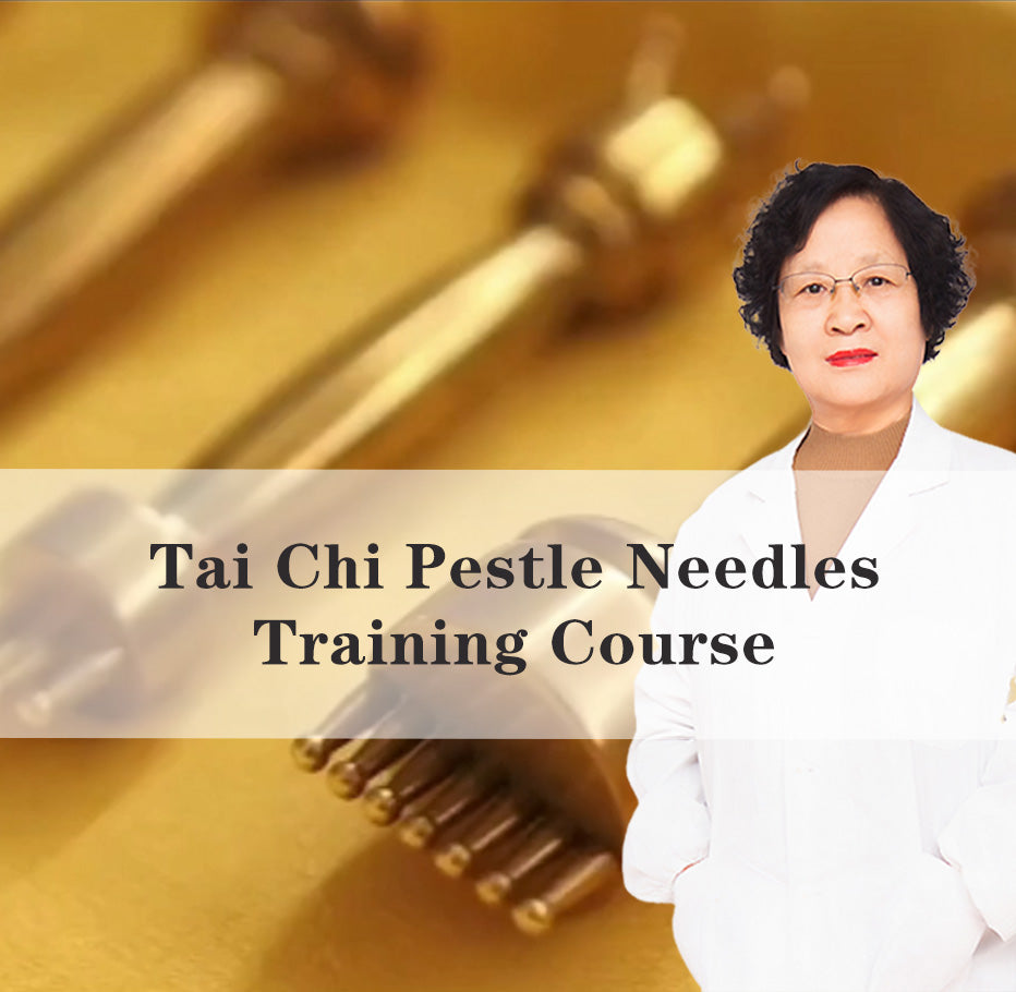 taichi pestle needle training course