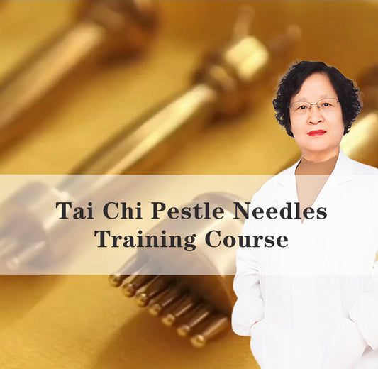 taichi pestle needle training course